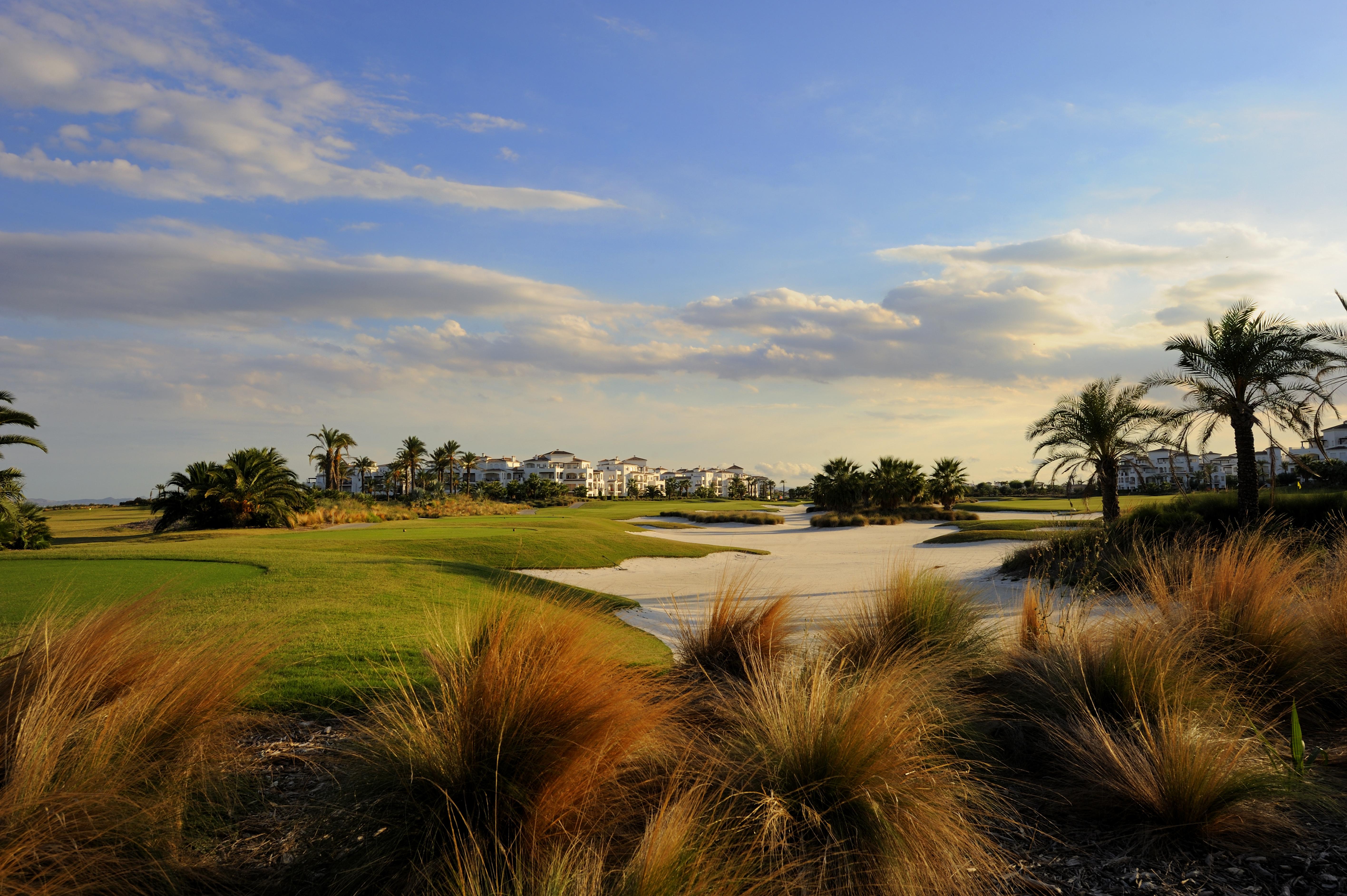 ดับเบิลทรี บาย ฮิลตัน ลา ตอเร กอล์ฟ แอนด์ สปา รีสอร์ต Hotel Roldan ภายนอก รูปภาพ Golf course at the Ritz-Carlton, Naples